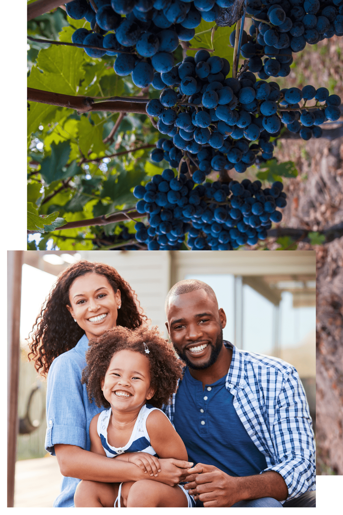 RESA Virginia Page Imagery Assets (3) (1)