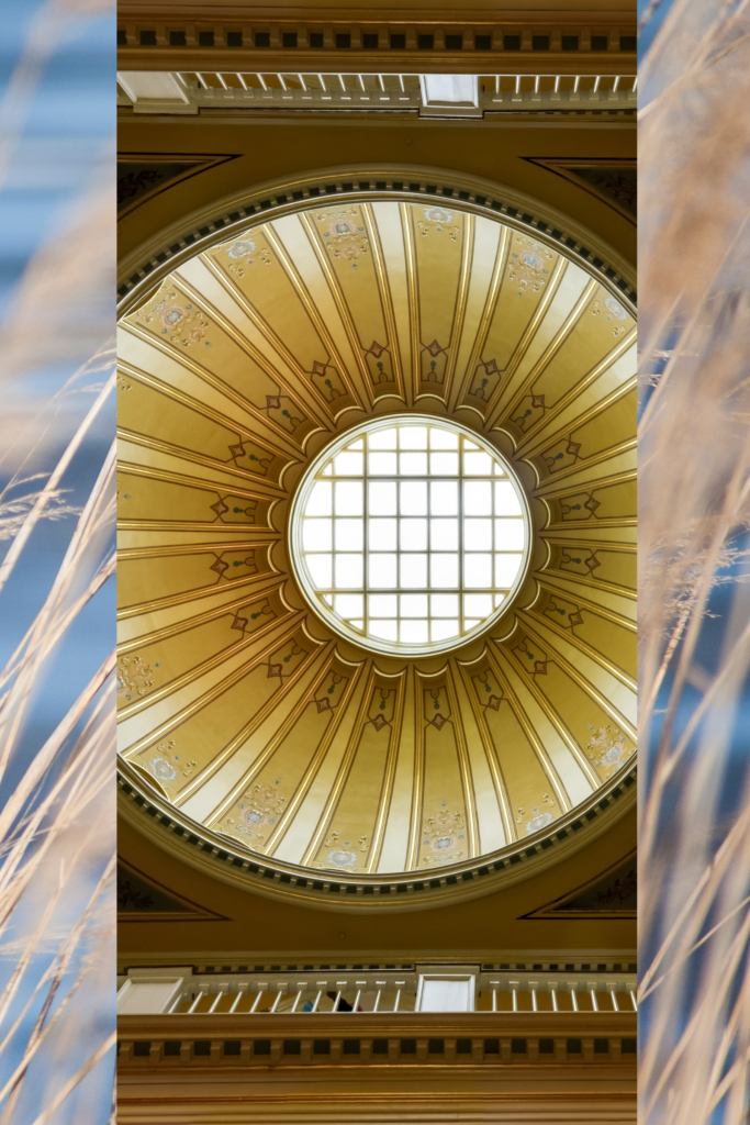RESA Virginia Page Imagery Assets
